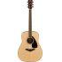 FG820 Acoustic Guitar