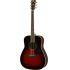 FG830 Acoustic Guitar