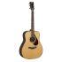 FG9 RX Acoustic Guitar