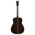 FG9 RX Acoustic Guitar