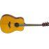 EX-DEMO FG-TA TransAcoustic Guitar In Vintage Tint