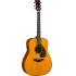 FGX5G Red Label Acoustic Guitar - Made in Japan