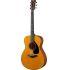A Grade Refurbished FS3 Red Label Acoustic Guitar