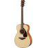 FS 800 MKII Acoustic Guitar Pack Natural Finish 