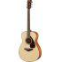EX-DEMO FS800 Mk II Acoustic Guitar