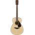 EX-DEMO FS800 Mk II Acoustic Guitar