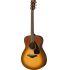 FS 800 MKII Acoustic Guitar Pack Sandburst Finish 