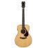 FS9 MX Acoustic Guitar