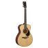 FS9 MX Acoustic Guitar