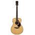 FS9 RX Acoustic Guitar