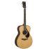 FS9 RX Acoustic Guitar