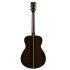 FS9 RX Acoustic Guitar