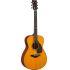 Almost Perfect FSX5G Red Label Acoustic Guitar - Made in Japan