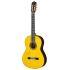 With Solid Spruce Top, Includes Semi-Hard case