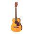 JR1 Small Bodied Acoustic Guitar