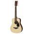 JR2S Small Bodied Acoustic Guitar