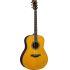 EX-DEMO LL-TA TransAcoustic Guitar