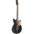 Revstar Professional RSP20X Electric Guitar