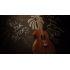 EX-DEMO Storia III Acoustic Guitar