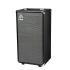 B Grade Refurbished SVT210AV Bass Cabinet