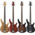 TRBX174EW Exotic Wood Bass Guitars