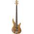 TRBX174EW Exotic Wood Bass Guitars