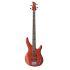 TRBX204 4-String Electric Bass Guitar