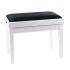 In Polished Brilliant White Finish with Black Dralon Seat Top