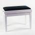 In Polished White Finish with Black Dralon Seat Top