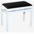 Polished Brilliant White Finish With Black Dralon Seat Top