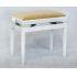 In Polished Brilliant White Finish With A Ice White Dralon Seat Top