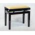 Polished Ebony Finish With Ice White Dralon Seat Top