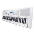 B Grade Refurbished EZ300 Portable Keyboard
