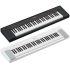 NP-15 Piaggero 61-Key Slimline Home Keyboard 