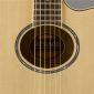 APX600 Electro-Acoustic Guitar