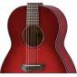 CSF1M Acoustic Guitar
