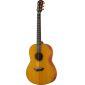 CSF3M Acoustic Guitar 
