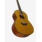 CSF-TA TransAcoustic Parlour Guitar