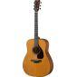 FG3 Red Label Acoustic Guitar