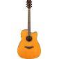 FGC-TA Trans-Acoustic Cutaway Electro Acoustic Guitar