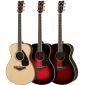 FS830 Acoustic Guitar