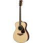 FS830 Acoustic Guitar