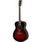 FS830 Acoustic Guitar