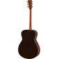 FS830 Acoustic Guitar