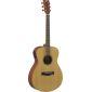 FSX400 Concert Body Electro Acoustic Guitar in Satin finish
