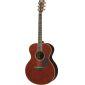 LJ16 ARE Acoustic Guitar