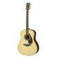 LL16 ARE Acoustic Guitar