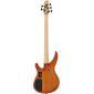 TRBX505 Electric 5-String Bass Guitar