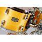 AMT1309-VN Absolute Hybrid Maple 13x9" Tom Tom