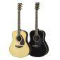 LL16D ARE Acoustic Guitar